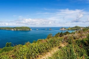 Auckland: Cathedral Cove and Hot Water Beach Day Trip