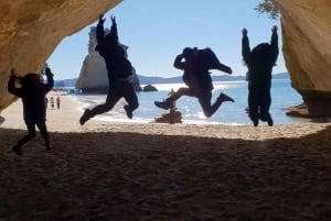 Auckland: Cathedral Cove and Hot Water Beach Day Trip