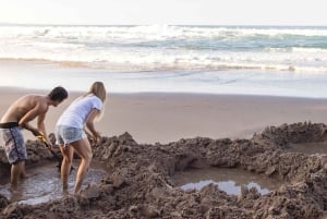 Auckland: Cathedral Cove and Hot Water Beach Day Trip