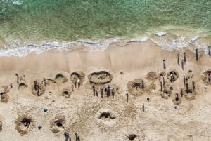 Auckland: Cathedral Cove and Hot Water Beach Day Trip