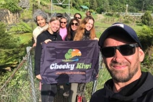 Auckland: Cathedral Cove e Coromandel em tour em pequenos grupos