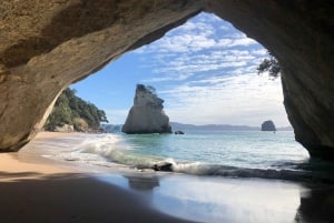 Auckland: Cathedral Cove e Coromandel em tour em pequenos grupos