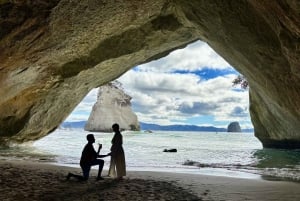 Auckland: Cathedral Cove e Coromandel em tour em pequenos grupos