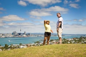 Auckland City and West Coast Luxury Tour