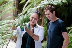 Auckland City and West Coast Luxury Tour