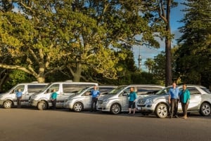 Auckland City and West Coast Luxury Tour
