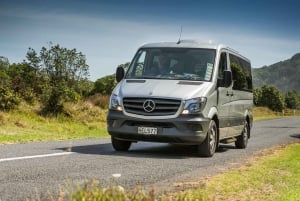 Auckland City and West Coast Luxury Tour