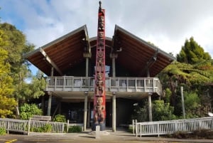 Auckland City, Beaches & Rainforest Premium Small Group Tour