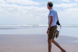 Visite complète de la ville d'Auckland - VISITE PRIVÉE