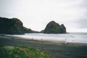 Visite complète de la ville d'Auckland - VISITE PRIVÉE