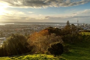 Visite complète de la ville d'Auckland - VISITE PRIVÉE