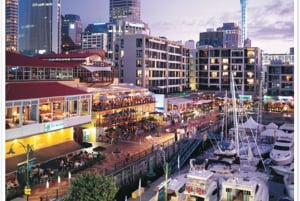 Auckland City Highlights: Morning Guided Tour