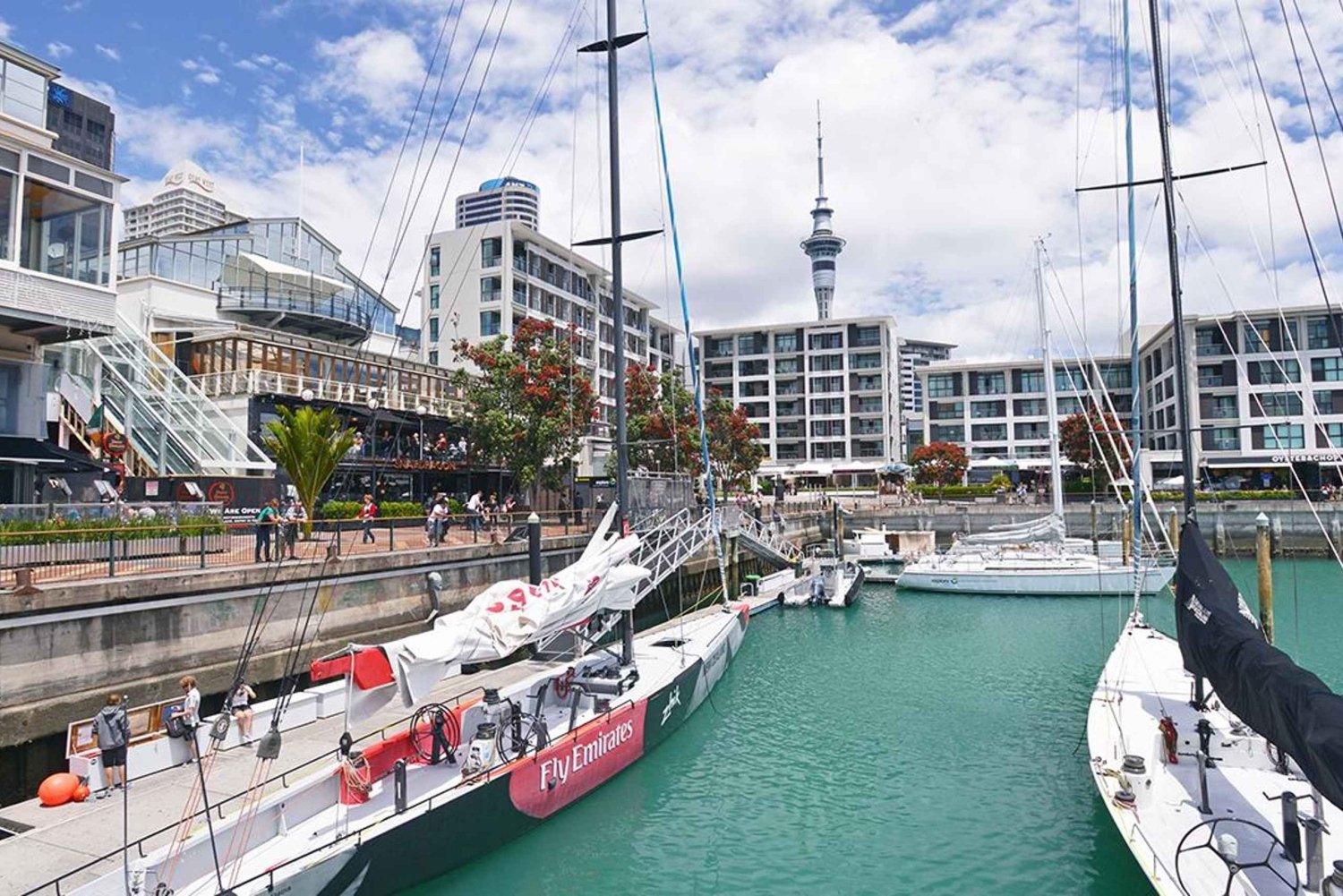 Auckland City Highlights tur med en lille gruppe (halv dag)
