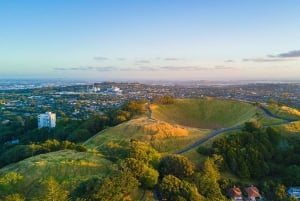Najważniejsze atrakcje miasta Auckland – wycieczka w małej grupie (półdniowa)
