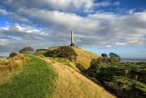 Tour em pequenos grupos pelos destaques da cidade de Auckland (meio dia)