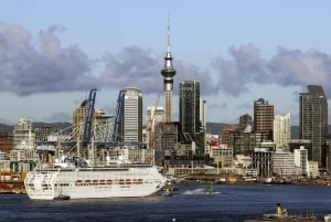 Auckland: Kaupunkihotelli Kuljetukset risteilyalukselle/risteilyalukselta tila-autolla