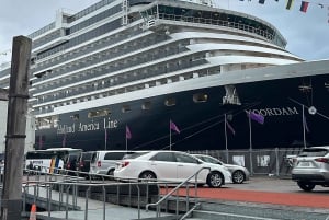 Auckland: Kaupunkihotelli Kuljetukset risteilyalukselle/risteilyalukselta tila-autolla