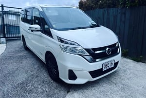 Auckland: Kaupunkihotelli Kuljetukset risteilyalukselle/risteilyalukselta tila-autolla