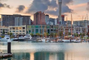 Auckland: Kaupunkihotelli Kuljetukset risteilyalukselle/risteilyalukselta tila-autolla