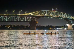 Auckland: City Lights kvällstur med kajak