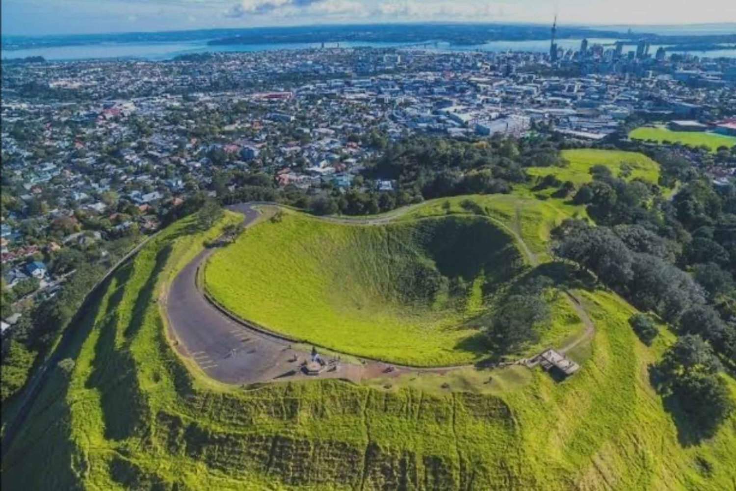 Tour di mezza giornata della città di Auckland e incontro con i kiwi autoctoni