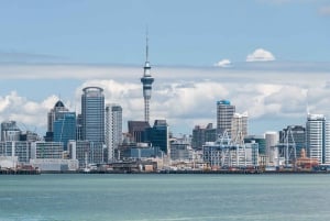 Excursion d'une demi-journée à Auckland et rencontre avec les kiwis indigènes