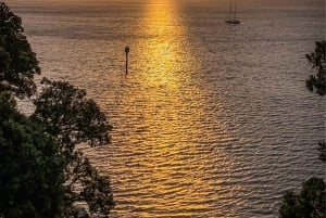 Auckland City Of Sails Halvdags privat tur