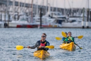 Auckland: City Scenes Kayak Tour