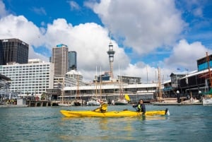Auckland: City Scenes Kayak Tour