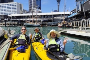 Auckland: City Scenes Kayak Tour