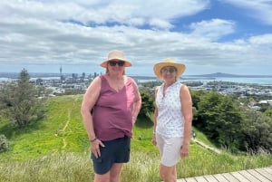 Visite d'une demi-journée à Auckland City Top Spots (visite en petit groupe)