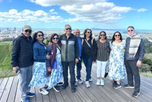 Visite d'une demi-journée à Auckland City Top Spots (visite en petit groupe)