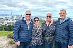Visite d'une demi-journée à Auckland City Top Spots (visite en petit groupe)