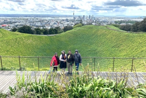 Visite d'une demi-journée à Auckland City Top Spots (visite en petit groupe)