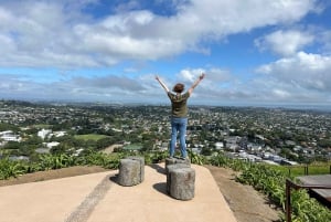 Visite d'une demi-journée à Auckland City Top Spots (visite en petit groupe)