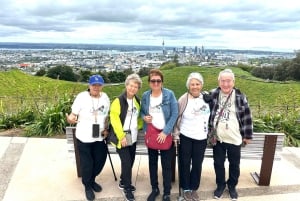 Visite d'une demi-journée à Auckland City Top Spots (visite en petit groupe)