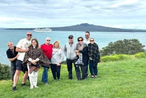 Visite d'une demi-journée à Auckland City Top Spots (visite en petit groupe)
