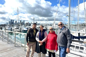 Visite d'une demi-journée à Auckland City Top Spots (visite en petit groupe)