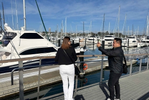 Visite d'une demi-journée à Auckland City Top Spots (visite en petit groupe)