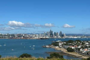 Visite d'une demi-journée à Auckland City Top Spots (visite en petit groupe)