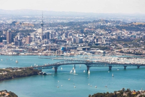 Visite d'une demi-journée à Auckland City Top Spots (visite en petit groupe)