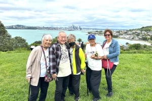 Visite d'une demi-journée à Auckland City Top Spots (visite en petit groupe)