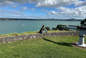 Visite d'une demi-journée à Auckland City Top Spots (visite en petit groupe)
