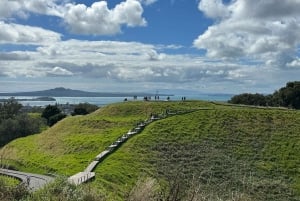 Visite d'une demi-journée à Auckland City Top Spots (visite en petit groupe)