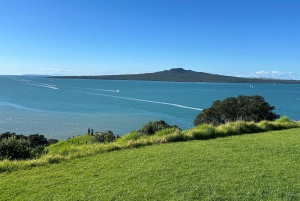 Visite d'une demi-journée à Auckland City Top Spots (visite en petit groupe)
