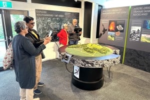 Visite d'une demi-journée à Auckland City Top Spots (visite en petit groupe)