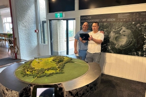 Visite d'une demi-journée à Auckland City Top Spots (visite en petit groupe)