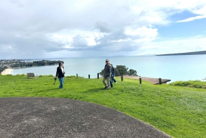 Visite d'une demi-journée à Auckland City Top Spots (visite en petit groupe)