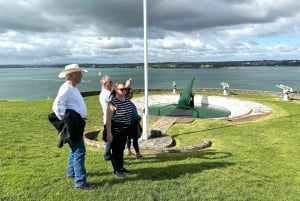 Visite d'une demi-journée à Auckland City Top Spots (visite en petit groupe)