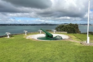 Visite d'une demi-journée à Auckland City Top Spots (visite en petit groupe)
